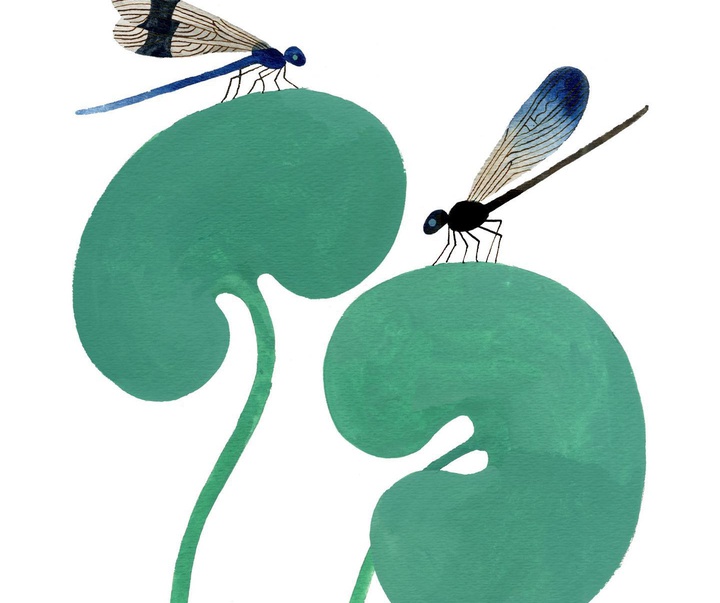 Gallery of Illustration by Carson Ellis - USA