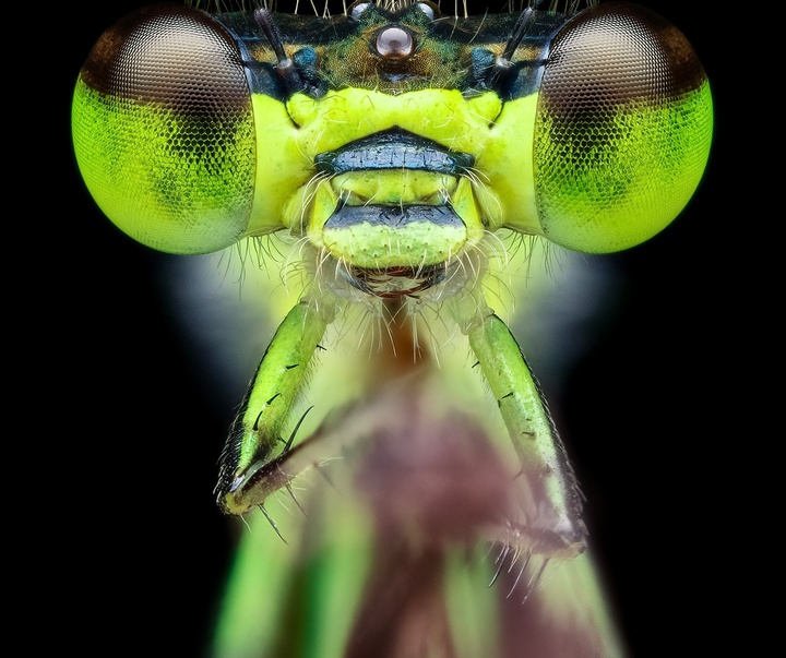 Gallery of Photography by Ben Salb - USA
