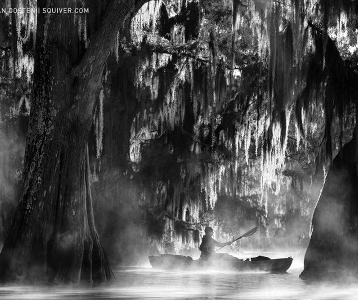 Gallery of Photography by Marsel van Oosten- Netherlands