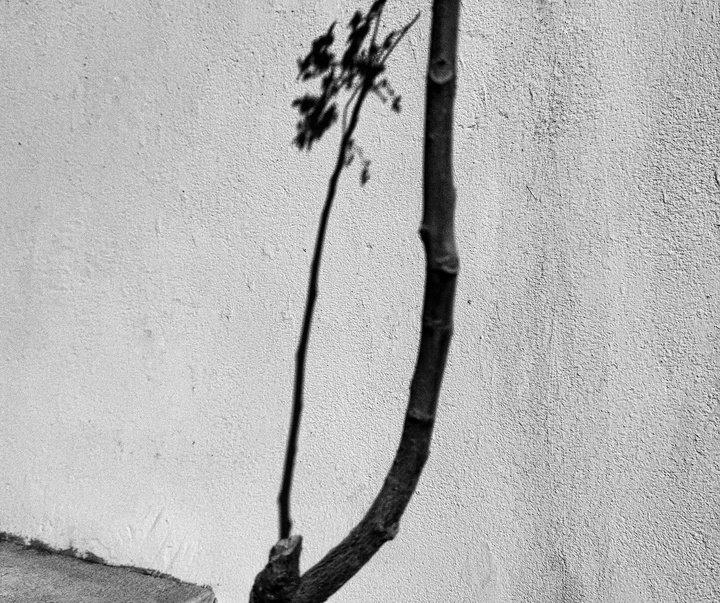 Gallery of Photography by Dominic Dähncke - Spain
