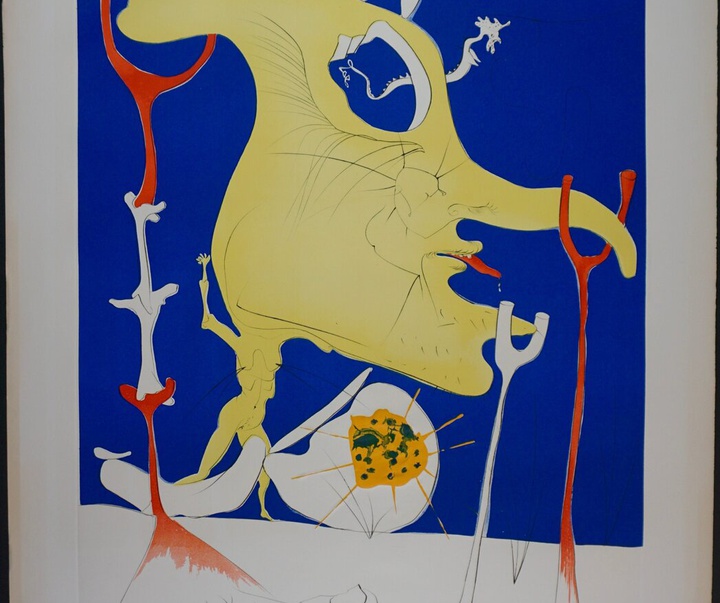 Gallery of Salvador Dali lithographs and metal engravings-Spain