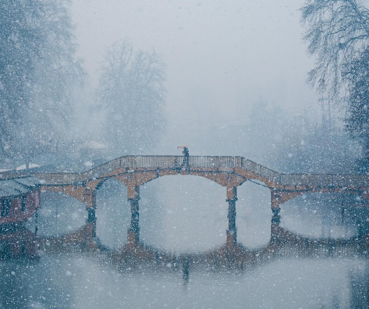 Gallery of Photography by Nishchay Bharati Jain - India