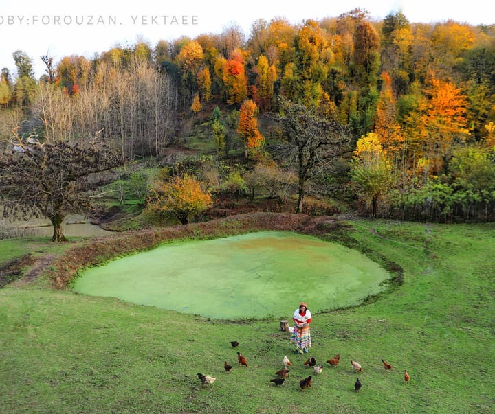 Gallery of Photography by Forouzan Yektaee-Iran