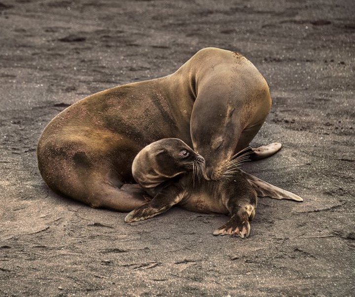 Gallery of Photography by Steve McCurry - USA