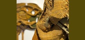 Gallery of Sculpture by Amy Usdin - USA