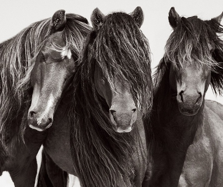 Drew Doggett