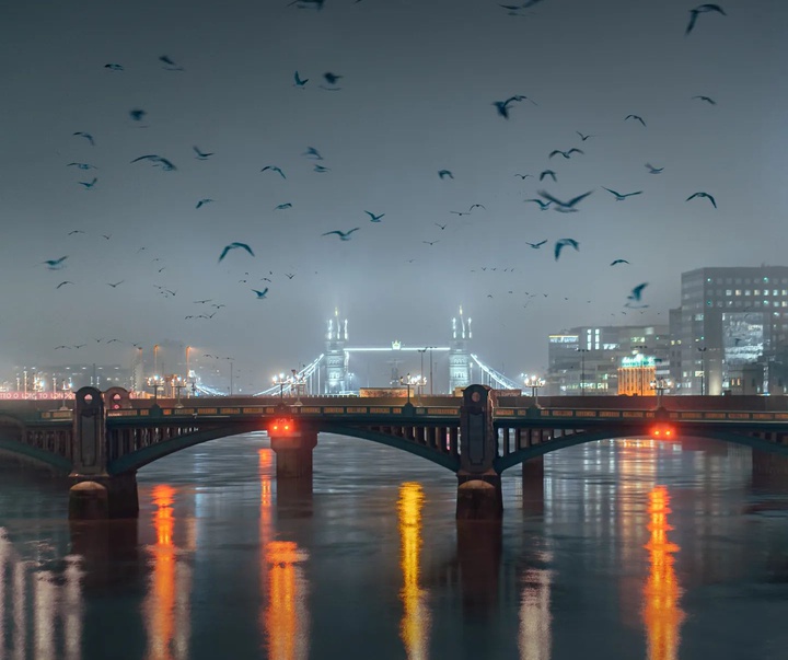 Gallery of Photography by Liam Man - UK