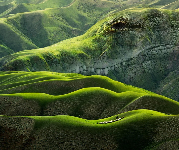 Gallery of Photography (Photo Art) by Martijn Schrijver - Netherlands