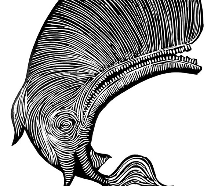 Gallery of illustration by Samuel Casal-Brazil