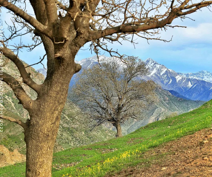 Gallery of photography by Nawzad Ghaderi - Iran