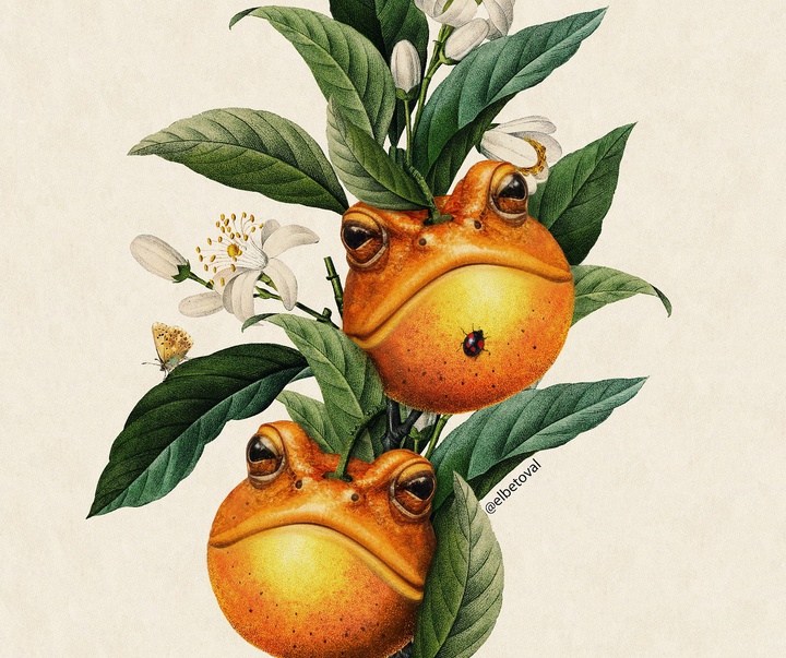 Gallery of Illustration by Beto Valencia - Ecuador