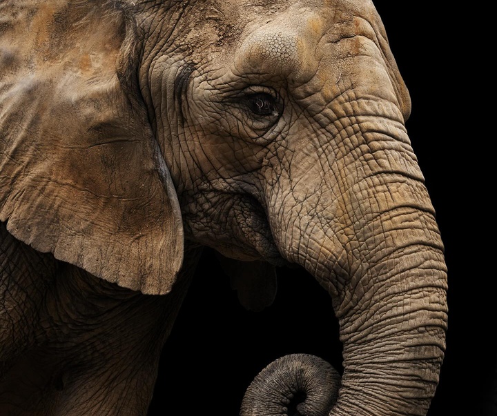 Gallery of Photography by Abbey Bratcher Parish - USA