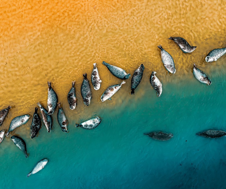Gallery of Photography by Joanna Steidle - USA