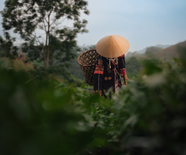 Gallery of Photography by Chris Ha - USA