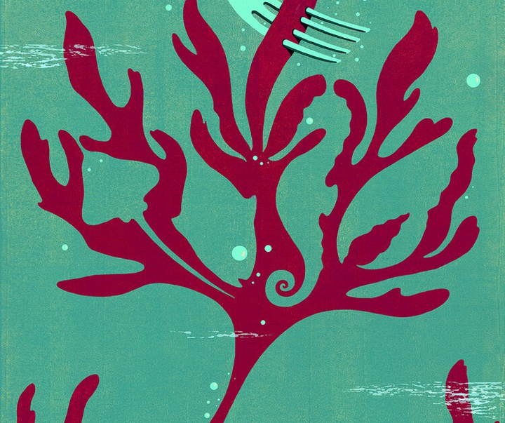 Gallery of Graphics by Dan Bejar - Canada