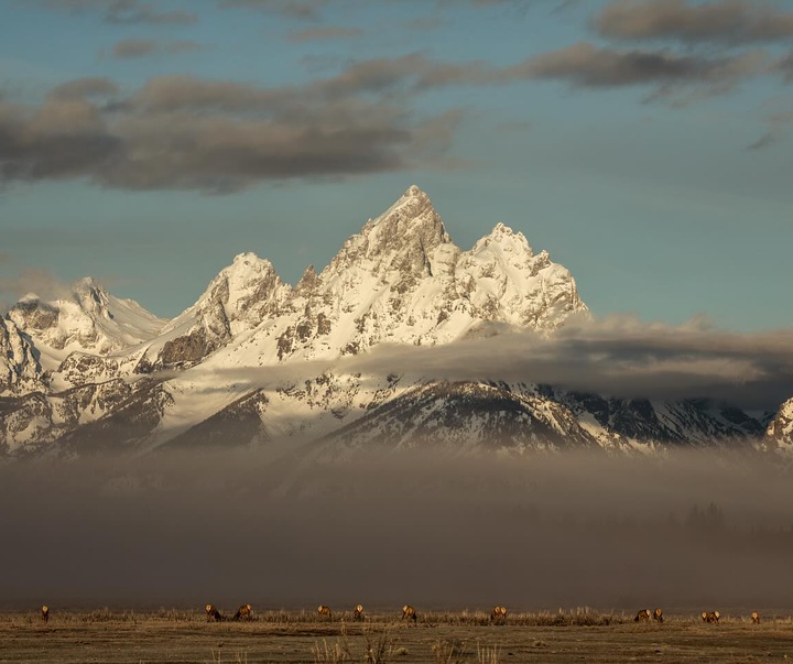 Gallery of Photography by Abbey Bratcher Parish - USA
