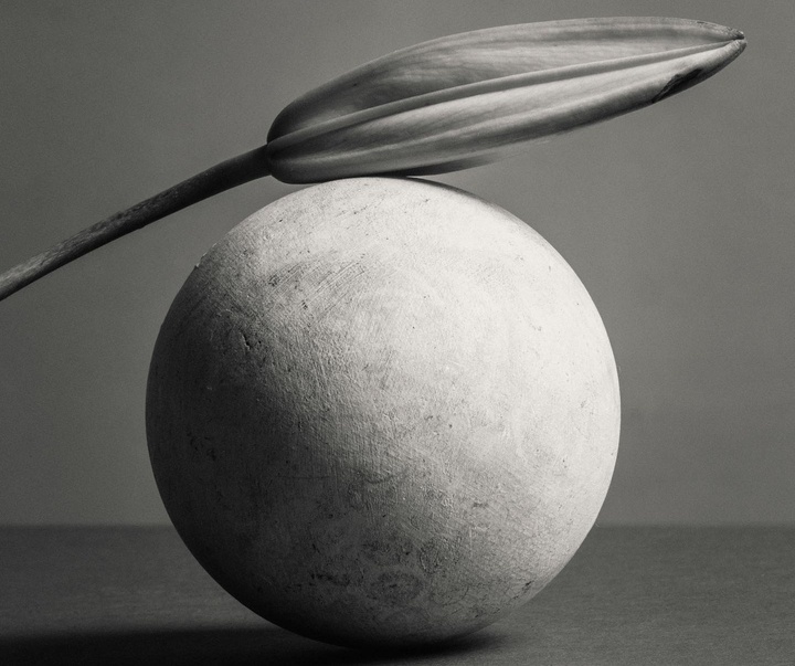 Gallery of Photography by Jonas Bjerre-Poulsen - Denmark