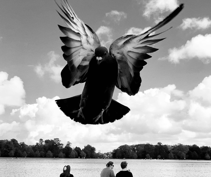 Gallery of Photography by Dimpy Bhalotia - India