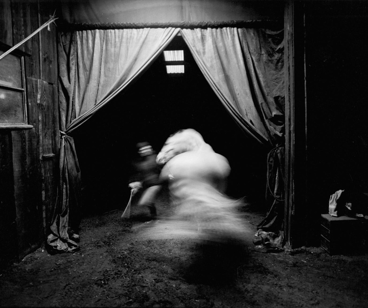 Gallery of Photography by Constance Jaeggi - Switzerland