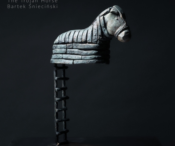 Gallery of Sculpture by Bartek Śnieciński - Poland