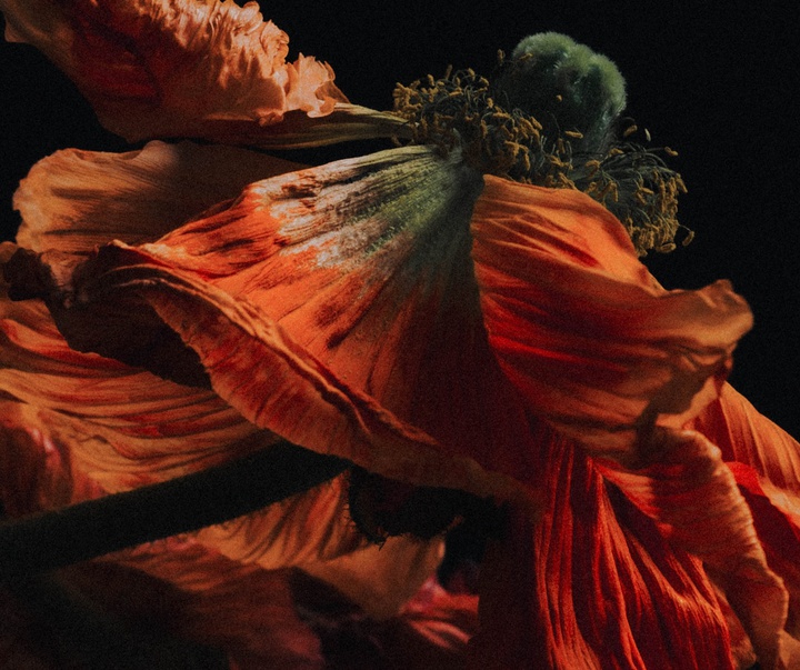 Gallery of Photography by Joe Clarke - UK