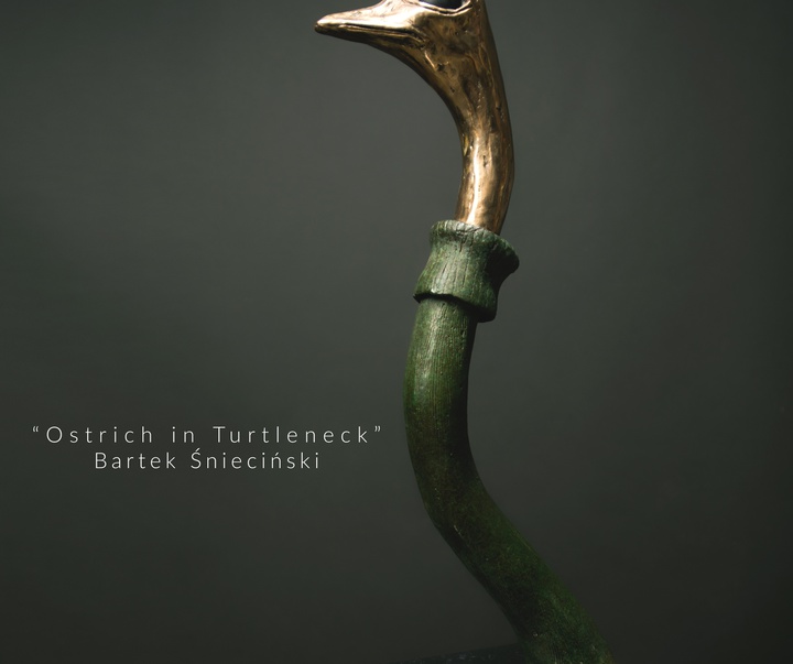 Gallery of Sculpture by Bartek Śnieciński - Poland