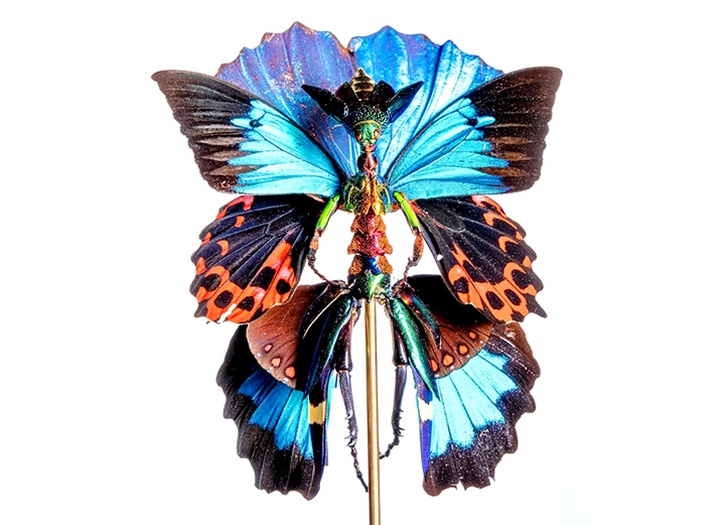 Gallery of Sculpture by Cedric Laquieze - USA