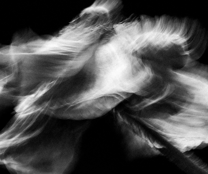 Gallery of Photography by Joe Clarke - UK