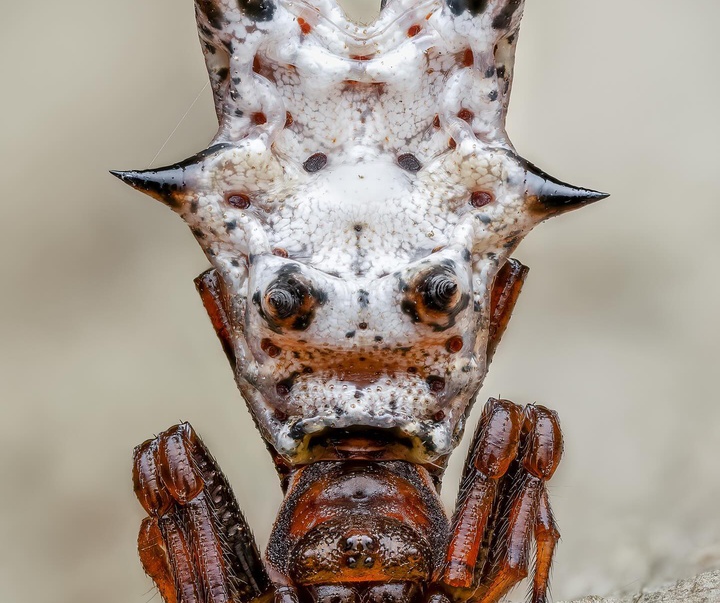 Gallery of Photography by Ben Salb - USA