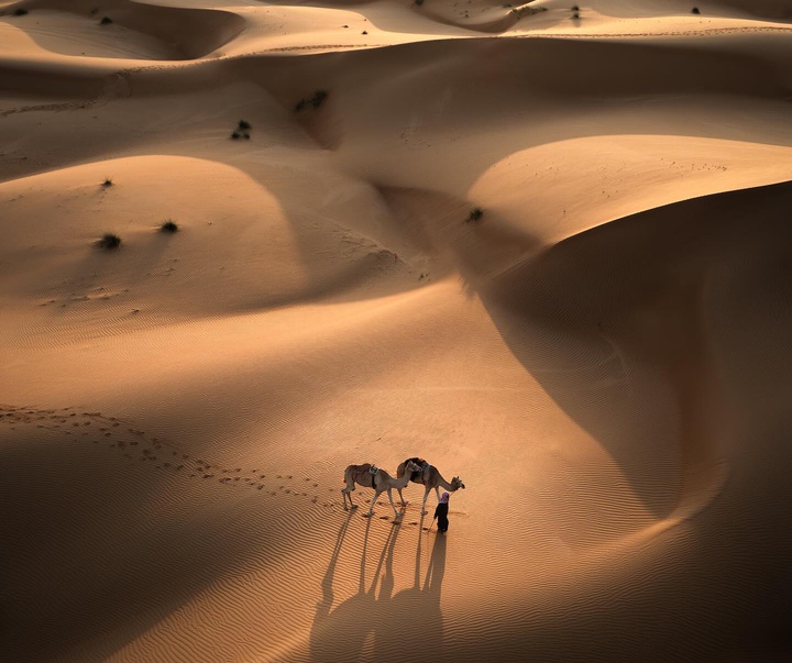 Gallery of Photography by Jord Hammond - UK
