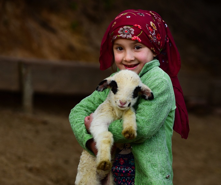 Gallery of Photography by Niyazi Gürgen - Turkey