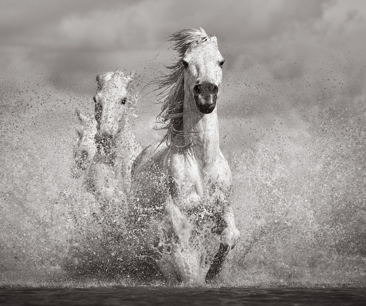 Gallery of Photography by Drew Doggett - USA