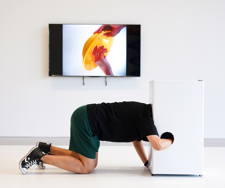 Erwin Wurm