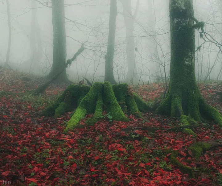 Gallery of Photography by Javad Jahanbin- Iran