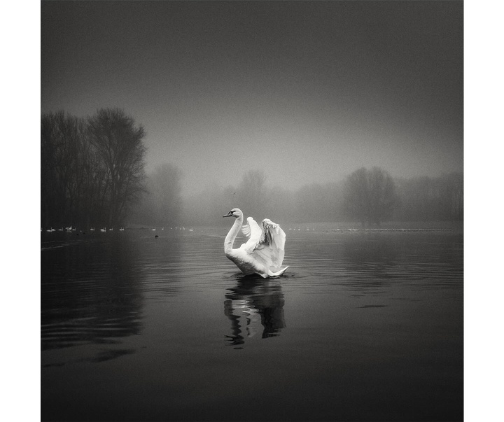 Gallery of Photography by Carsten Velten - Germany