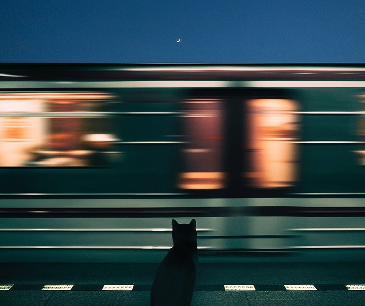 Gallery of Photography by Oliver Takáč - Slovakia