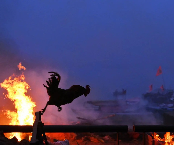 Gallery of Photography by Pranay Pariyar - India