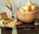 Gallery of Painting by Claudio Bravo - Chile