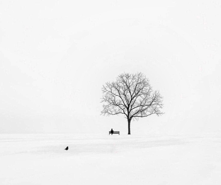 Gallery of Photos by Mojtaba Gitinezhad-Iran