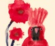 Gallery of Illustration by Yumi Kimura - Japan