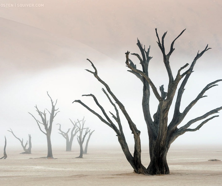 Gallery of Photography by Marsel van Oosten- Netherlands