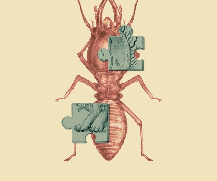 Gallery of Illustration by Ada Zejun Shen - USA