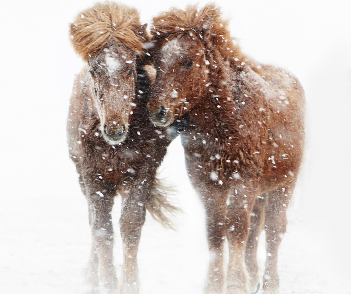 Gallery of Photography by Gigja Einars - Iceland
