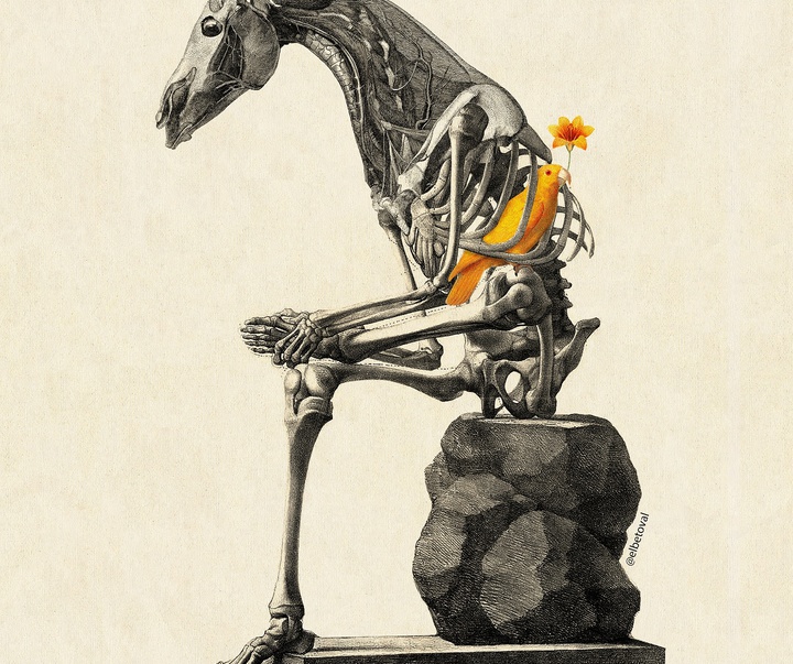 Gallery of Illustration by Beto Valencia - Ecuador