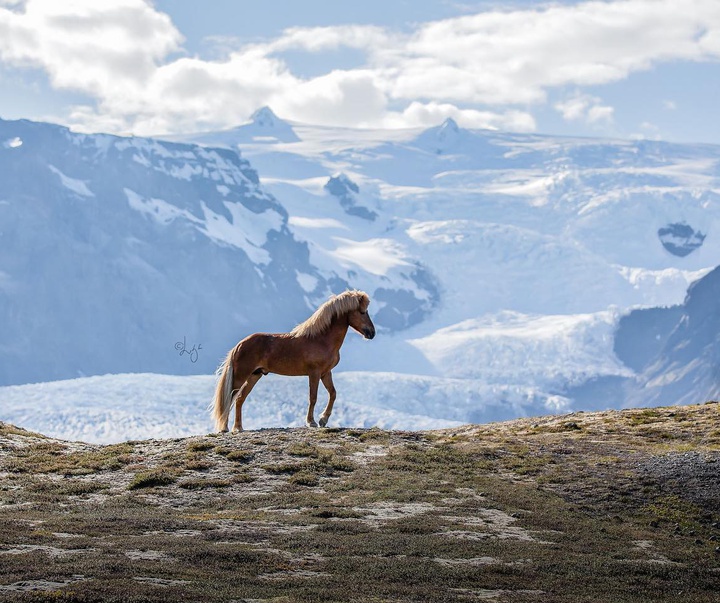 Gallery of photography by Liga Liepina - Iceland