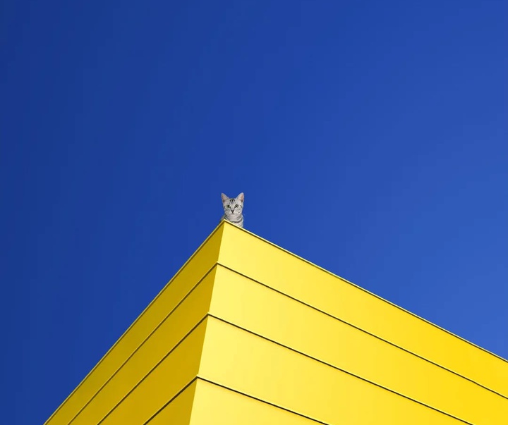 Gallery of Photography by Benjamin Wolf - USA