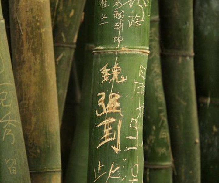 Gallery of Calligraphy by Chinese and Japanese calligraphers