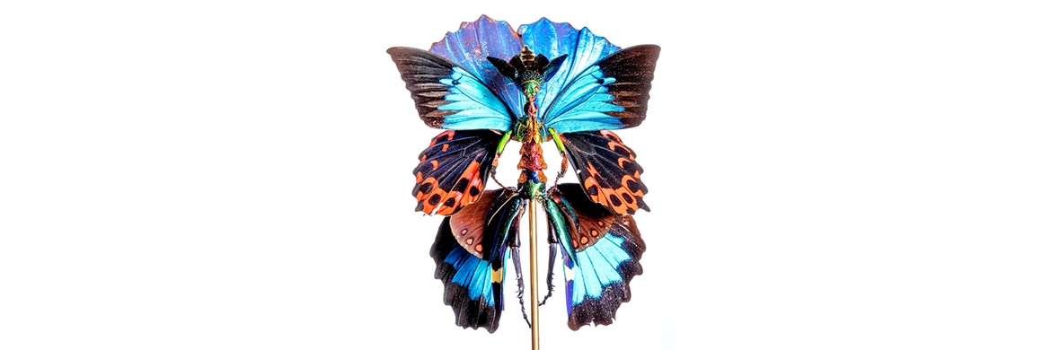 Gallery of Sculpture by Cedric Laquieze - USA