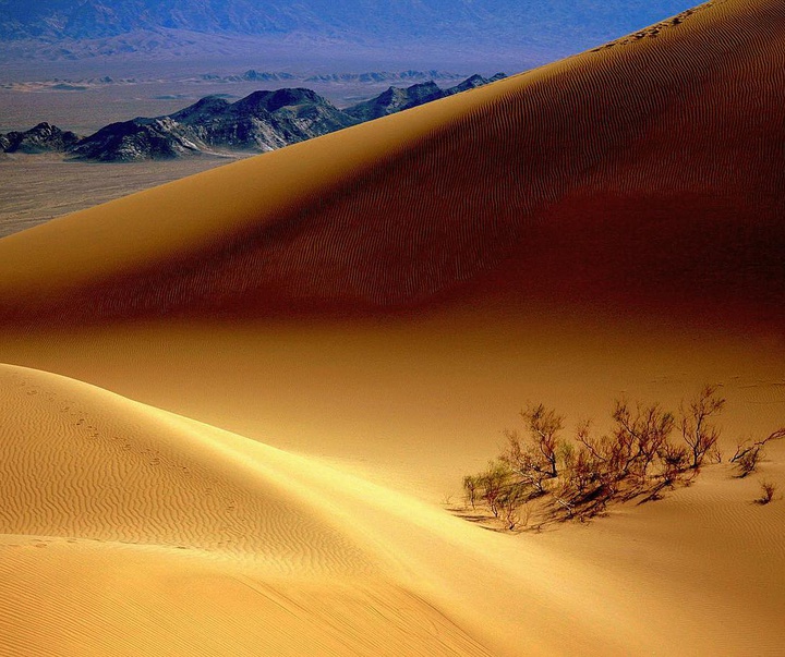 Gallery of Photos by Ali Ghalamsiah-Iran