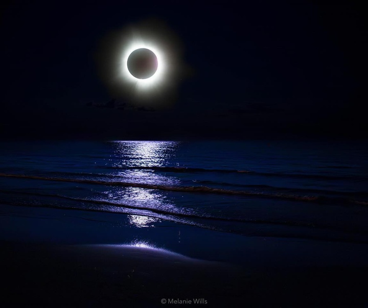 Gallery of Photography by Melanie Wills - Canada